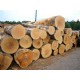 TEAK Logs and Sawn wood Lumber