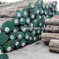 raw wood logs natural teak wood burma teak