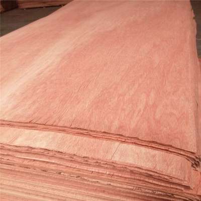 4*8 ft Bintangor Face Veneer Good Quality Plywood Face Veneer 0.16mm