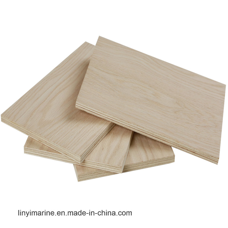 Plywood Oak /Maple Veneer Timber High Quality